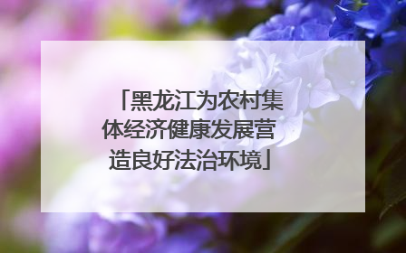 黑龙江为农村集体经济健康发展营造良好法治环境