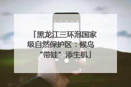 黑龙江三环泡国家级自然保护区：候鸟“带娃”添生机