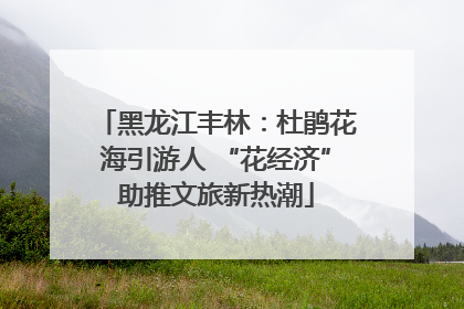 黑龙江丰林：杜鹃花海引游人 “花经济”助推文旅新热潮