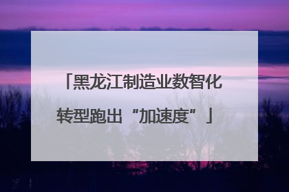 黑龙江制造业数智化转型跑出“加速度”