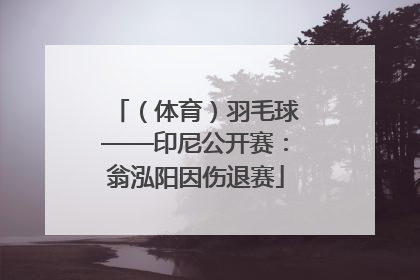 （体育）羽毛球——印尼公开赛：翁泓阳因伤退赛