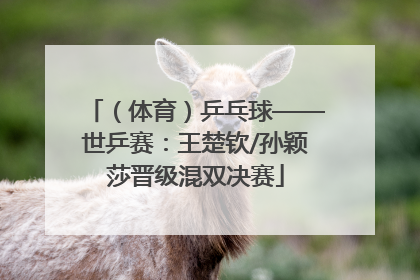 （体育）乒乓球——世乒赛：王楚钦/孙颖莎晋级混双决赛
