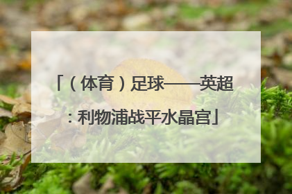 （体育）足球——英超：利物浦战平水晶宫