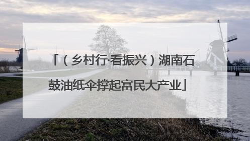 （乡村行·看振兴）湖南石鼓油纸伞撑起富民大产业