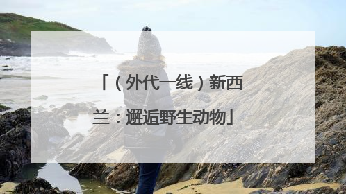 （外代一线）新西兰：邂逅野生动物