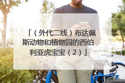 （外代二线）布达佩斯动物和植物园的西伯利亚虎宝宝（2）
