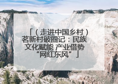（走进中国乡村）茗新村破圈记：民族文化赋能 产业借势 “网红东风”