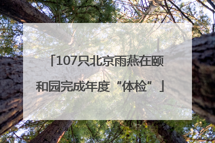 107只北京雨燕在颐和园完成年度“体检”