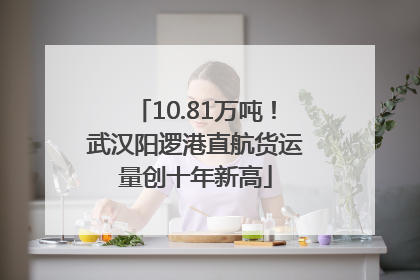 10.81万吨！武汉阳逻港直航货运量创十年新高