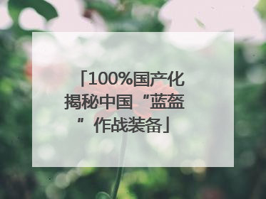 100%国产化 揭秘中国“蓝盔”作战装备