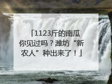 1123斤的南瓜你见过吗？潍坊“新农人”种出来了！