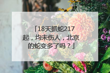 18天抓蛇217起，均未伤人，北京的蛇变多了吗？