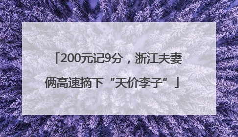 200元记9分，浙江夫妻俩高速摘下“天价李子”