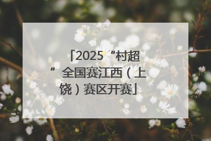 2025“村超”全国赛江西（上饶）赛区开赛