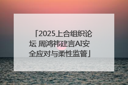 2025上合组织论坛 周鸿祎建言AI安全应对与柔性监管