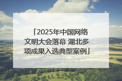 2025年中国网络文明大会落幕 湖北多项成果入选典型案例