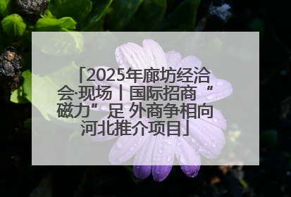 2025年廊坊经洽会·现场丨国际招商“磁力”足 外商争相向河北推介项目