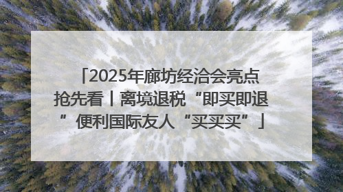 2025年廊坊经洽会亮点抢先看丨离境退税“即买即退”便利国际友人“买买买”