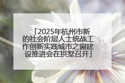 2025年杭州市新的社会阶层人士统战工作创新实践城市之窗建设推进会在拱墅召开