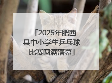 2025年肥西县中小学生乒乓球比赛圆满落幕