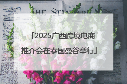 2025广西跨境电商推介会在泰国曼谷举行