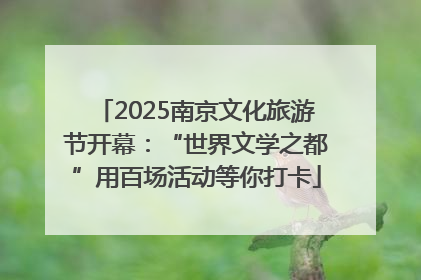 2025南京文化旅游节开幕：“世界文学之都”用百场活动等你打卡