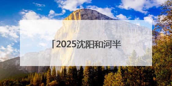 2025沈阳和河半程马拉松即将开赛 辽宁平安产险全程护航