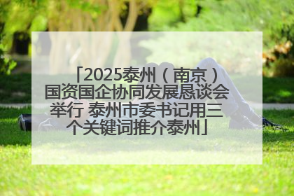 2025泰州（南京）国资国企协同发展恳谈会举行 泰州市委书记用三个关键词推介泰州