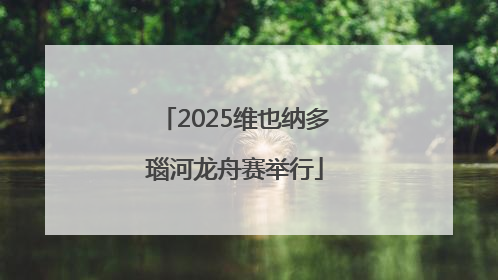 2025维也纳多瑙河龙舟赛举行