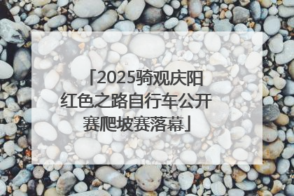 2025骑观庆阳红色之路自行车公开赛爬坡赛落幕