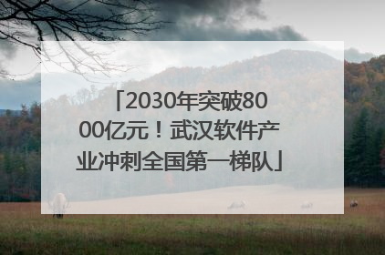 2030年突破8000亿元！武汉软件产业冲刺全国第一梯队
