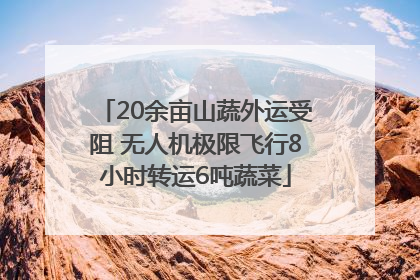 20余亩山蔬外运受阻 无人机极限飞行8小时转运6吨蔬菜