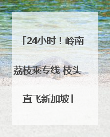 24小时！岭南荔枝乘专线 枝头直飞新加坡
