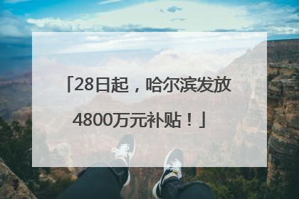 28日起，哈尔滨发放4800万元补贴！