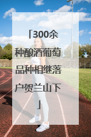 300余种酿酒葡萄品种相继落户贺兰山下