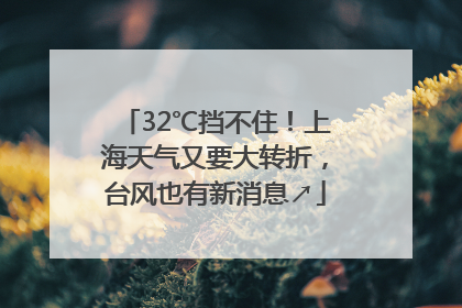 32℃挡不住！上海天气又要大转折，台风也有新消息↗
