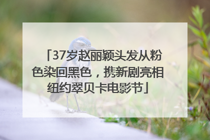 37岁赵丽颖头发从粉色染回黑色，携新剧亮相纽约翠贝卡电影节
