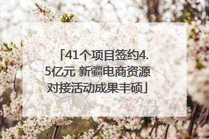 41个项目签约4.5亿元 新疆电商资源对接活动成果丰硕