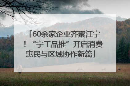 60余家企业齐聚江宁！“宁工品推”开启消费惠民与区域协作新篇