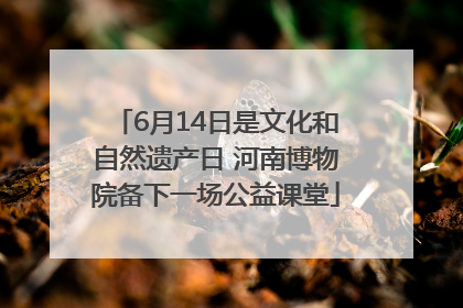 6月14日是文化和自然遗产日 河南博物院备下一场公益课堂