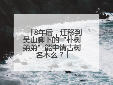 8年后，迁移到吴山脚下的“朴树弟弟”能申请古树名木么？