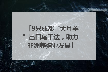 9只成都“大耳羊”出口乌干达，助力非洲养殖业发展