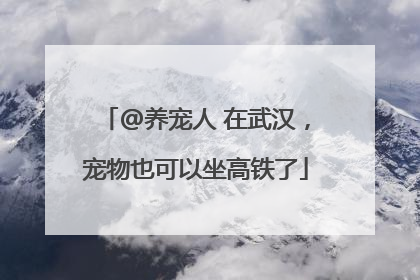@养宠人 在武汉，宠物也可以坐高铁了